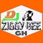 Dj Ziggy Bee pro