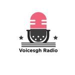 Voicesgh Radio